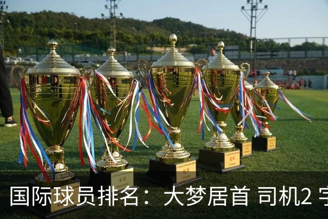 国际球员排名：大梦居首 司机2 字母3 约基奇4 纳什5 SGA7 姚明18