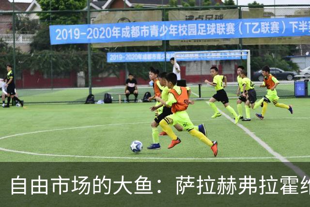 自由市场的大鱼：萨拉赫弗拉霍维奇在列 桑乔或再回多特